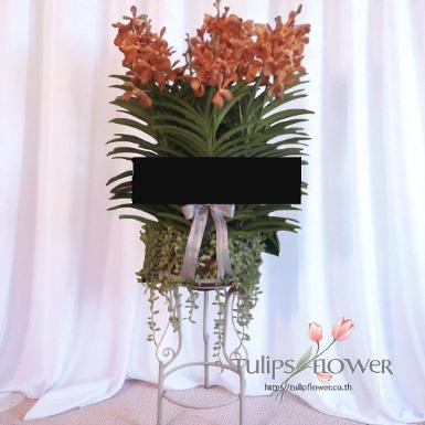 TW-10007 หรีดต้นกล้วยไม้