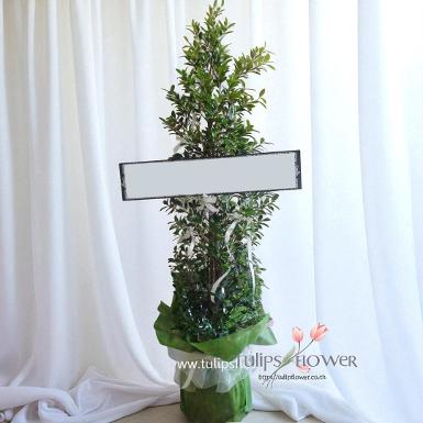 TW 10021 หรีดต้นไม้